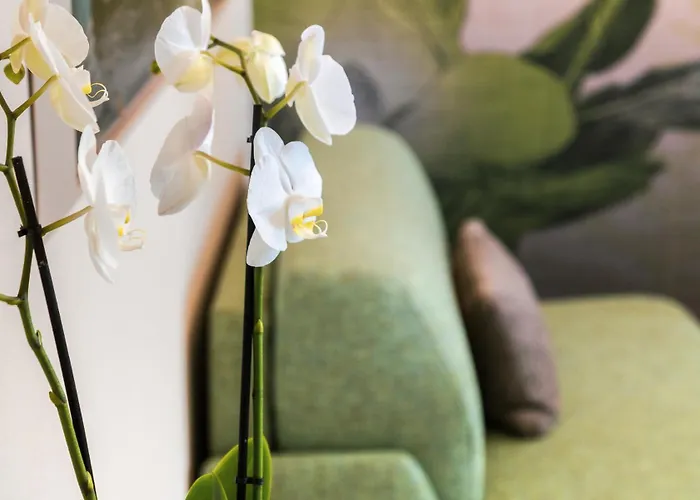 Palace Luxury Apartment Alba (Piedmont)